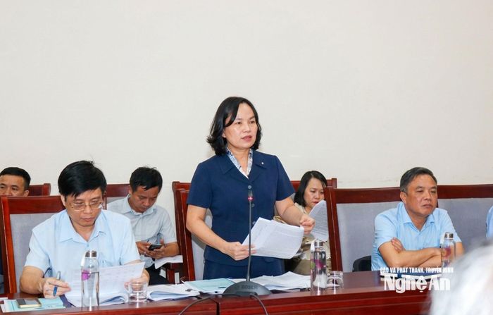 Lãnh đạo các sở, ngành tham gia ý kiến tại cuộc họp. Ảnh: Nguyễn Nam
