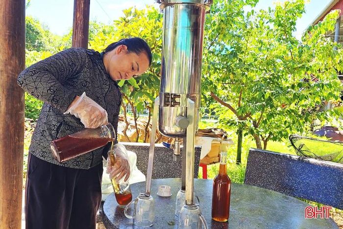 Nguồn hoa tự nhiên dồi dào, không chỉ giảm tối đa thức ăn bổ sung, mà còn tạo nên chất lượng riêng của mật ong Kỳ Lạc.
