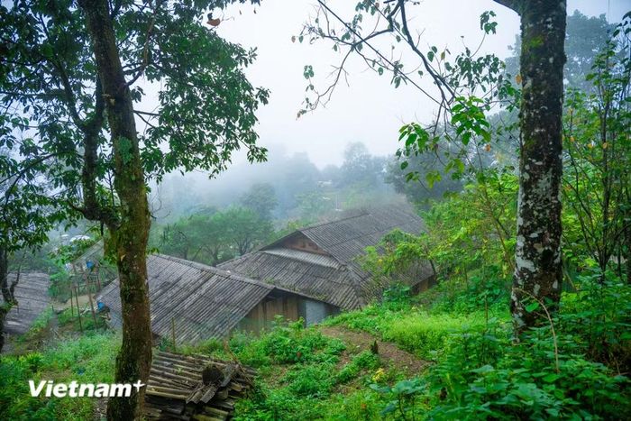 Không chỉ được vinh danh là Điểm du lịch cộng đồng tốt nhất Việt Nam năm 2025, năm 2023 trong khuôn khổ Diễn đàn Du lịch Đông Nam Á - ATF, Sin Suối Hồ nhận giải thưởng Du lịch cộng đồng ASEAN lần thứ 3 và năm 2024 Sin Suối Hồ được đề cử tham gia bình chọn là “làng du lịch tốt nhất thế giới." (Ảnh: Vietnam+)