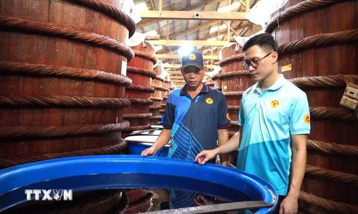 Nhà thùng nước mắm truyền thống Phú Quốc. (Ảnh: Văn Sĩ/TTXVN)