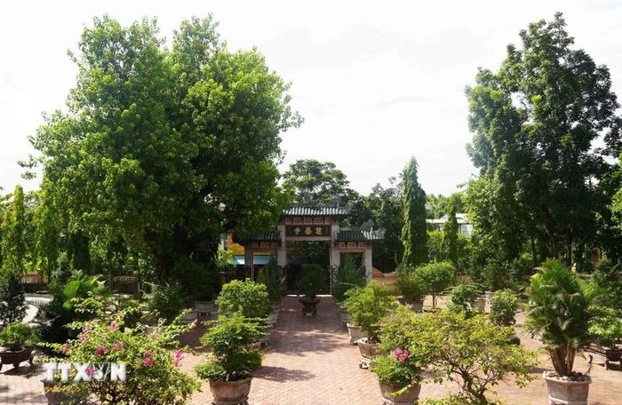 Không gian xanh của sân chùa Từ Đàm, thành phố Huế. (Ảnh: Nguyên Lý/TTXVN)