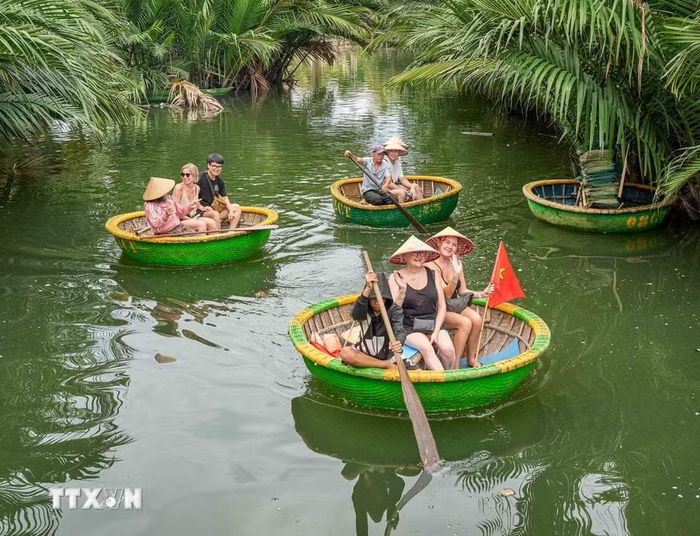 Những chiếc thuyền thúng tròn bằng tre, nhỏ gọn và linh hoạt, đưa du khách len lỏi qua những con rạch giữa rừng dừa nước, khám phá cảnh quan sông nước và cảm nhận nhịp sống bình dị của cư dân địa phương. (Ảnh: Khánh Hòa/TTXVN)