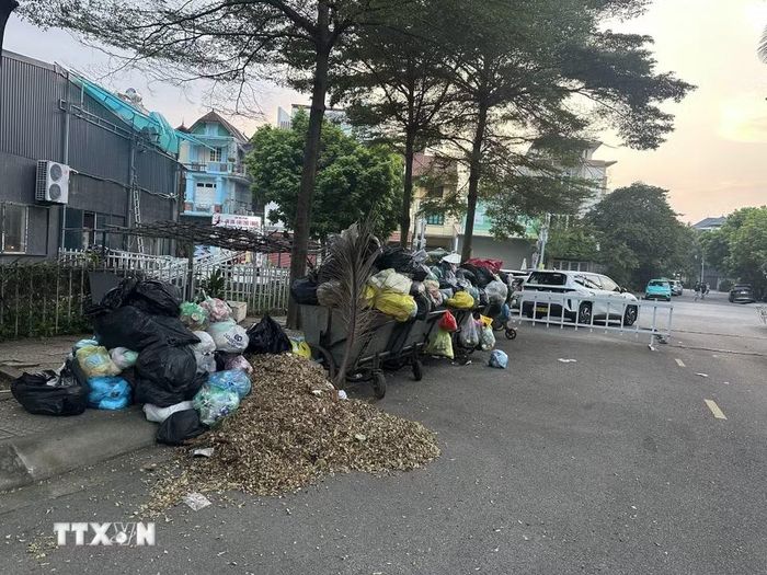 Rác thải không được đơn vị môi trường thu gom, ùn ứ tại khu vực phường Vĩnh Phúc, tỉnh Phú Thọ. (Ảnh: Nguyễn Thảo/TTXVN)