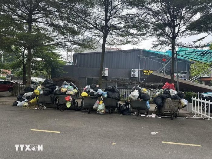 Rác thải ùn ứ tại khu vưcn đường Phan Chu Trinh, phường Vĩnh Phúc. (Ảnh: Nguyễn Thảo/TTXVN)