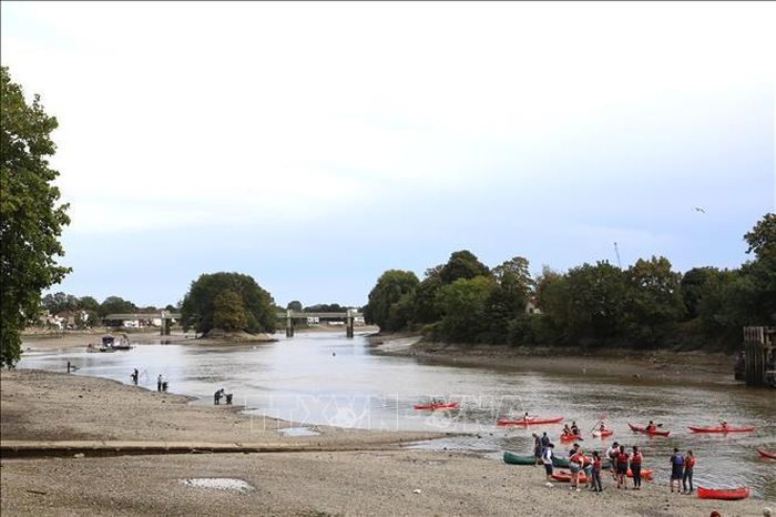 Mực nước sông Thames tại London xuống mức thấp kỷ lục trong nhiều năm khiến lòng sông bị thu hẹp đáng kể. Ảnh: Hữu Tiến/PV TTXVN tại Anh