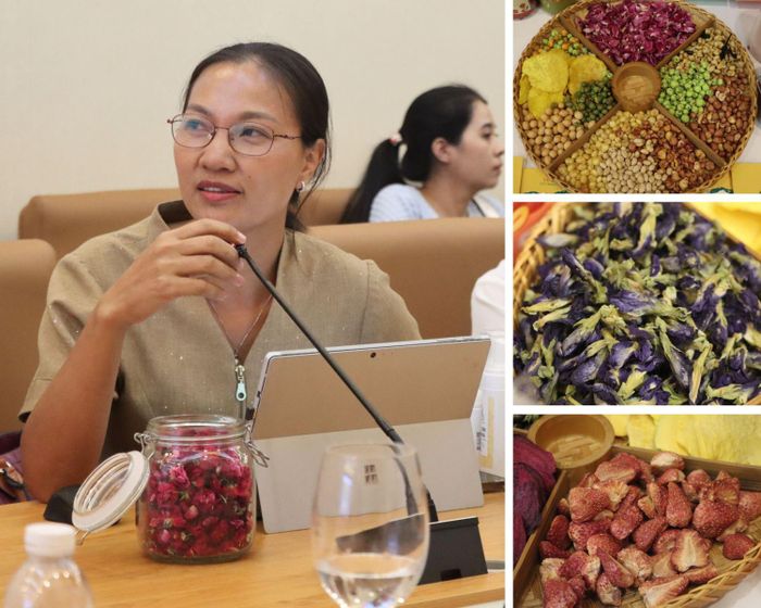 Bà Bá Thị Nguyệt Thu, Chủ tịch HĐQT Hợp tác xã Hà Nội Xanh phát biểu tại buổi làm việc.