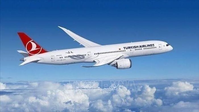 Máy bay của hãng hàng không Turkish Airlines. Ảnh: IRNA/TTXVN phát