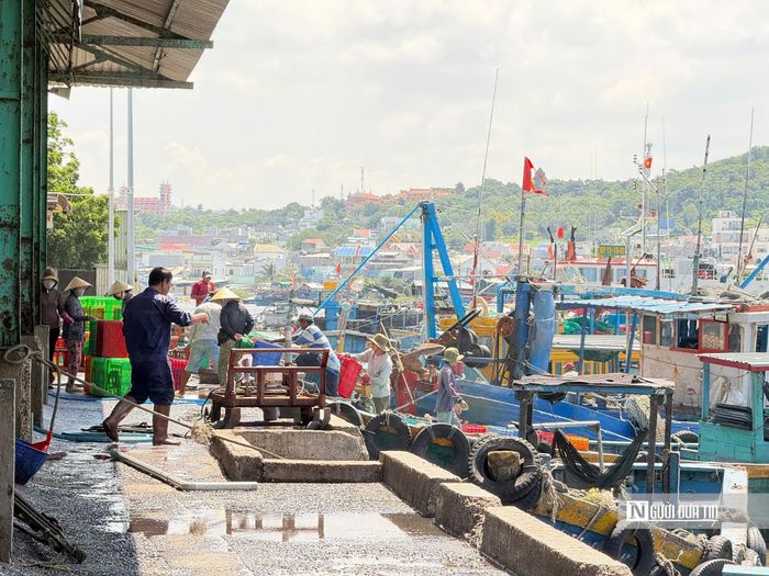 Khu vực Cảng cá Phú Hải.