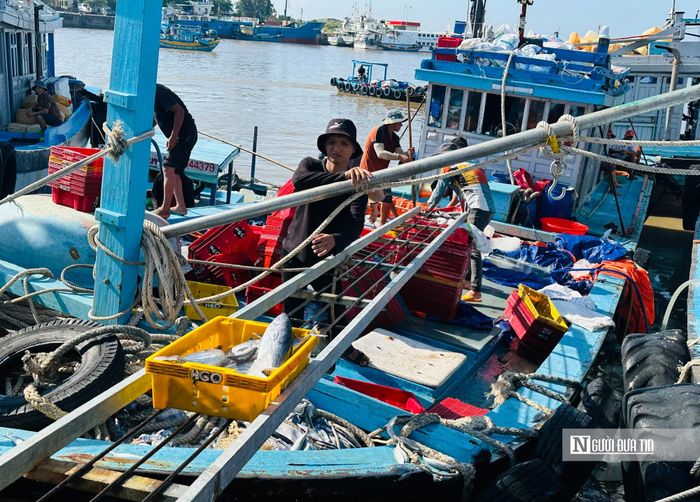 Ngư dân di chuyển cá từ thuyền lên bờ.