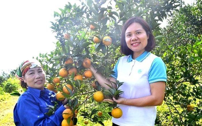 Chỉ dẫn địa lý có thể trở thành đòn bẩy quan trọng, góp phần nâng cao giá trị và mở rộng thị trường cho sản phẩm khởi nghiệp từ vùng miền của phụ nữ. Ảnh minh họa
