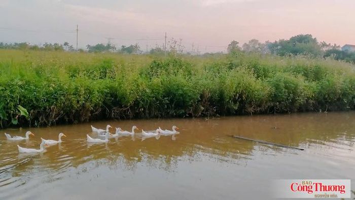 Vệ tinh sẽ cung cấp dữ liệu khi thấy một khu vực có lượng phát thải mê-tan cao bất thường.