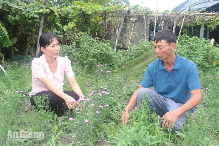 Chị Nguyễn Thị Ngọc Nhàn - Chủ tịch Hội Nông dân xã Định Mỹ thăm hỏi tình hình sản xuất của nông dân.