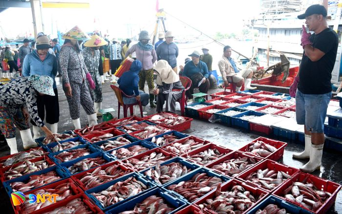 Ngư dân lên cá ở Âu thuyền và cảng cá Thọ Quang. Ảnh: QUANG VIỆT