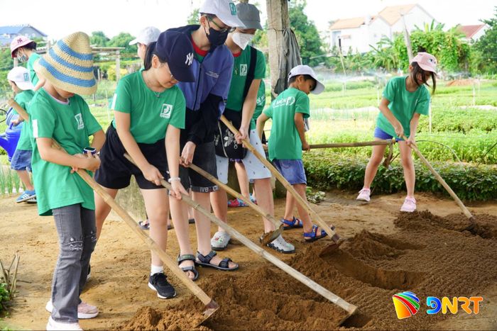 Chi hội nghề nghiệp “Du lịch cộng đồng gắn với nông nghiệp hữu cơ và nghề truyền thống” tại làng rau Trà Quế (phường Hội An Tây) tạo cơ hội để hội viên liên kết trong sản xuất. Ảnh: LAM PHƯƠNG