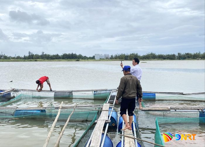 Hội viên Tổ hội nghề nghiệp nuôi cá lồng bè trên sông ở thôn Trà Đông (xã Nam Phước) chăm sóc cá tại các lồng bè. Ảnh: LAM PHƯƠNG