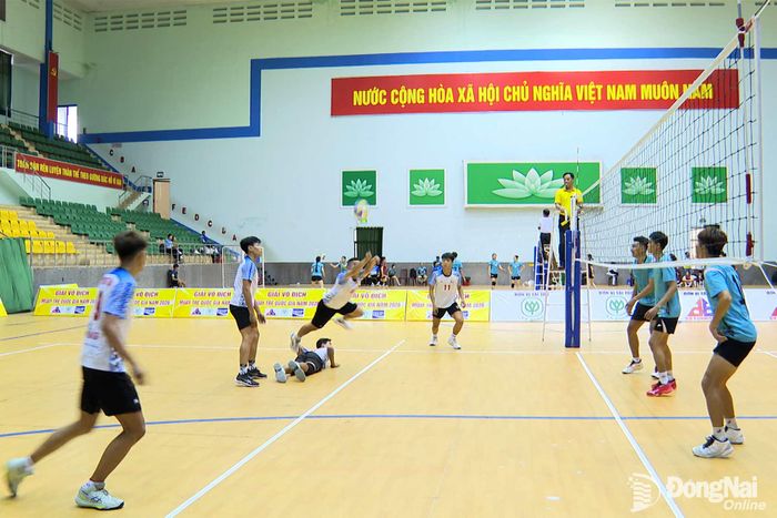 Các đội bóng chuyền nam thi đấu tại giải. Ảnh: Đặng Hùng