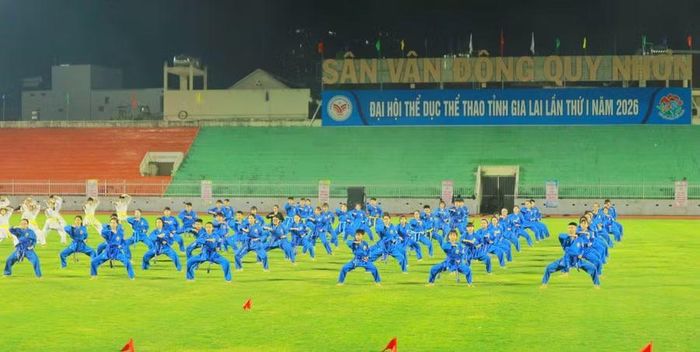  Biểu diễn võ thuật. Ảnh: H.V 