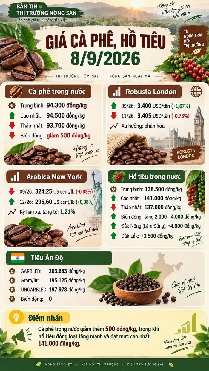 Infographic AI.