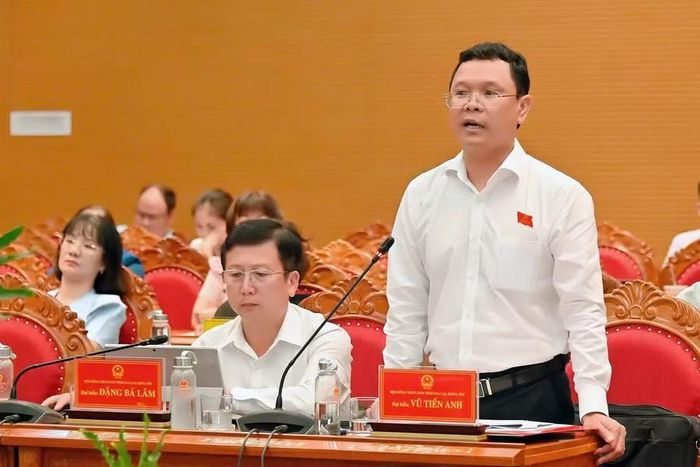  Ông Vũ Tiến Anh - Chánh văn phòng Đoàn đại biểu Quốc hội và HĐND tỉnh đề nghị làm rõ nguyên nhân, vướng mắc và trách nhiệm của các cơ quan, đơn vị, chủ đầu tư đối với những dự án chậm giải ngân. Ảnh: Đ.T 