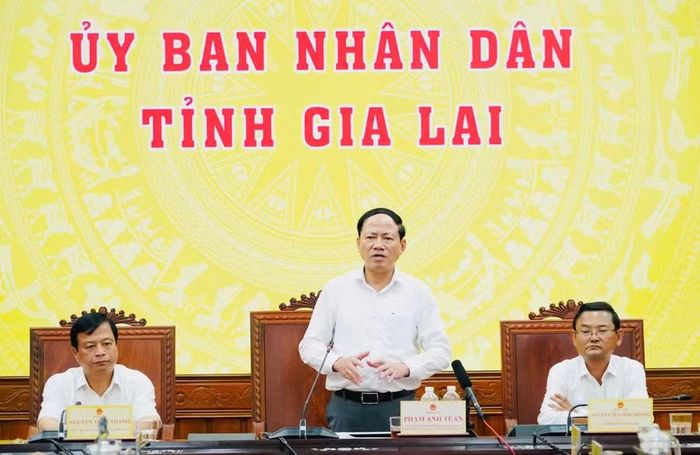 Chủ tịch UBND tỉnh Phạm Anh Tuấn phát biểu tại hội nghị. Ảnh: N.H