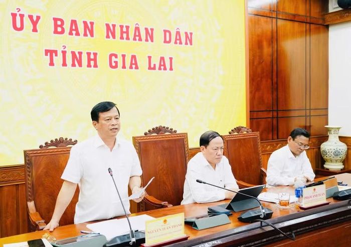 Phó Chủ tịch Thường trực UBND tỉnh Nguyễn Tuấn Thanh yêu cầu các ngành, địa phương tập trung giải pháp thúc đẩy, nâng cao chất lượng tăng trưởng kinh tế - xã hội trong những tháng cuối năm 2026. Ảnh: N.H