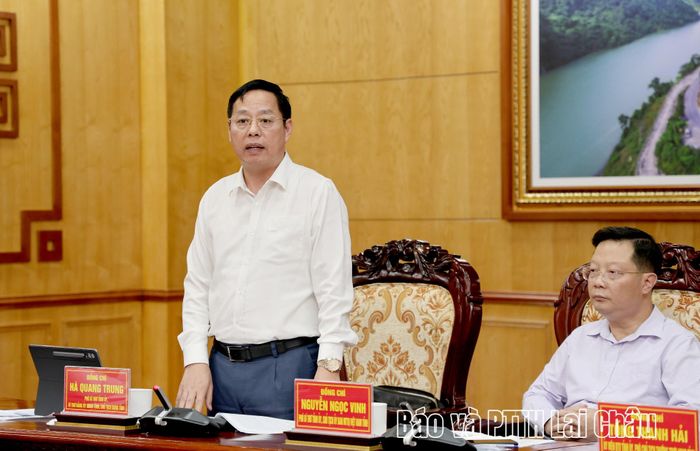 Đồng chí Hà Quang Trung - Phó Bí thư Tỉnh uỷ, Chủ tịch UBND tỉnh phát biểu tại buổi làm việc. 