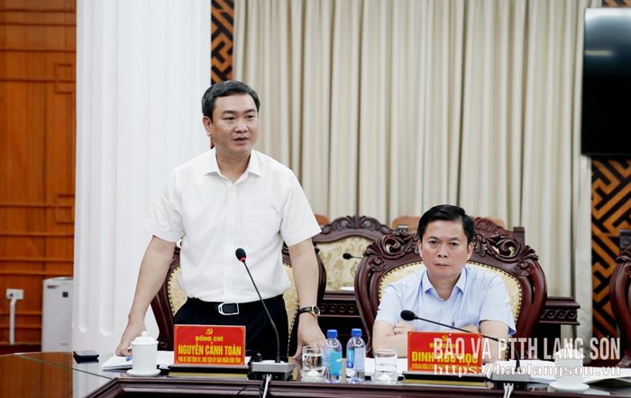 Đồng chí Nguyễn Cảnh Toàn, Phó Bí thư Tỉnh ủy, Chủ tịch UBND tỉnh, Phó Trưởng Ban Thường trực BCĐ phát biểu tại hội nghị