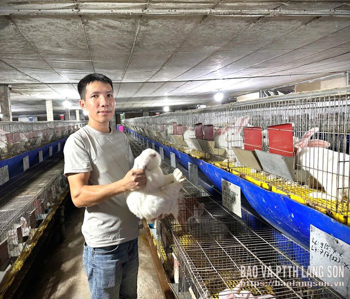 Anh Thạch kiểm tra chất lượng thỏ