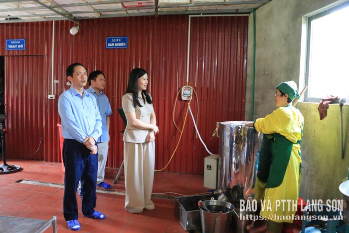 Đồng chí Trần Thanh Nhàn, Phó Chủ tịch UBND tỉnh khảo sát tại cơ sở sản xuất Thạch Chu Hạnh