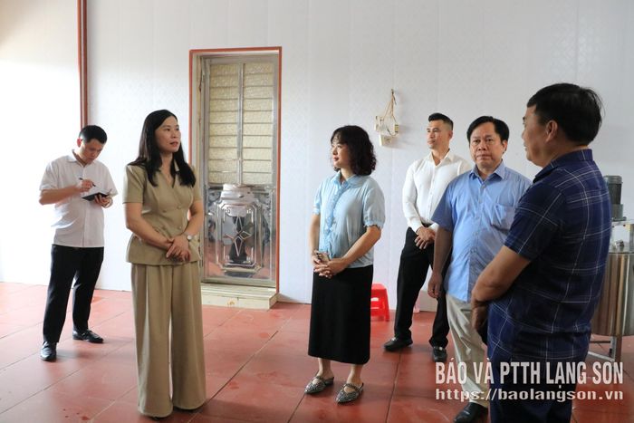 Đồng chí Trần Thanh Nhàn, Phó Chủ tịch UBND tỉnh khảo sát tại Công ty TNHH MTV Nông sản Hải Bình