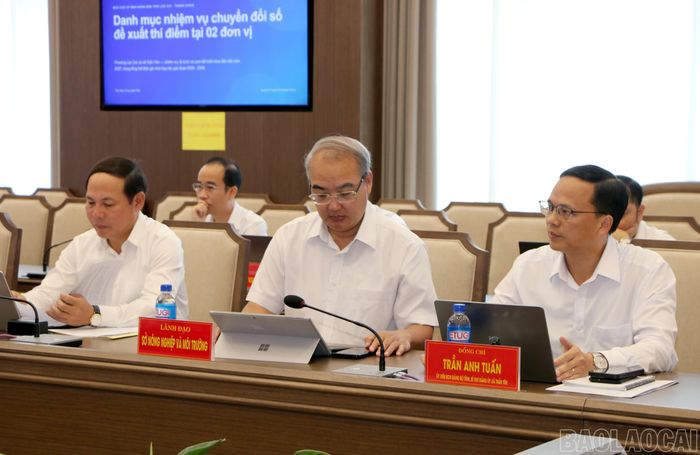 Các đại biểu tham dự buổi làm việc.