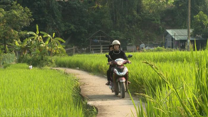 Những tuyến đường nông thôn mới giúp con đường đến trường của các em học sinh ở Lào Cai thuận tiện hơn.