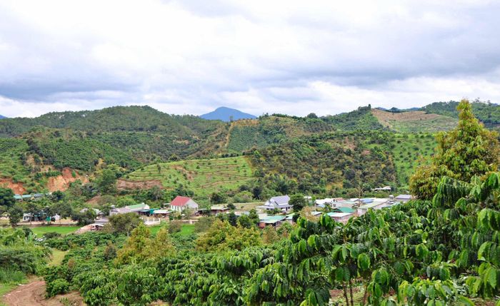Những vùng đất nuôi dưỡng sinh kế của người dân địa phương Lâm Đồng
