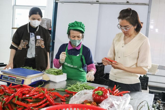 Hợp tác xã Nông nghiệp tổng hợp Vườn nhà Đà Lạt tạo việc làm thường xuyên cho khoảng 40 lao động với thu nhập từ 8 - 12 triệu đồng/người/tháng