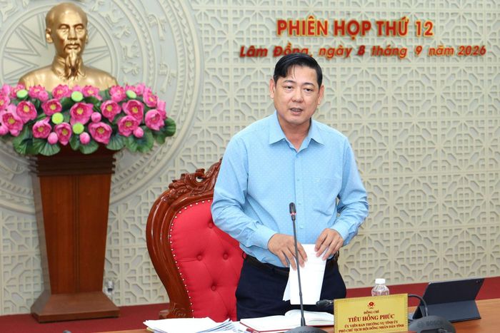 Đồng chí Tiêu Hồng Phúc, Ủy viên Ban Thường vụ Tỉnh ủy, Phó Chủ tịch HĐND tỉnh kết luận phiên họp