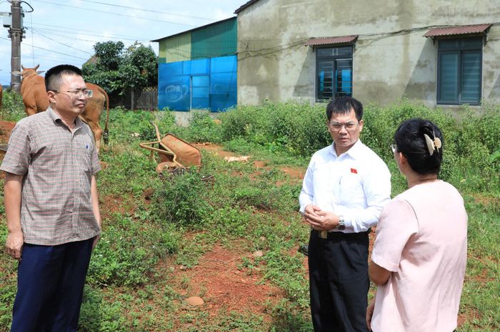 Đoàn ĐBQH tỉnh Lâm Đồng khảo sát mô hình hỗ trợ bò giống cho người dân tại xã Tuy Đức