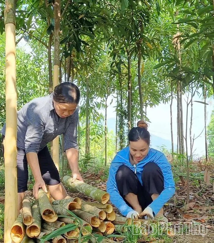 Từ sự góp sức của NCUT, trên địa bàn xã Xuân Viên ngày càng xuất hiện nhiều mô hình kinh tế, tạo việc làm và tăng thu nhập giúp đồng bào DTTS ổn định cuộc sống.