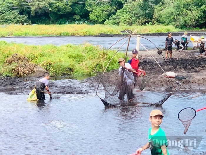 Người dân, du khách trải nghiệm bắt cá tại ngày hội “phá Trằm” - Ảnh: Đ.V