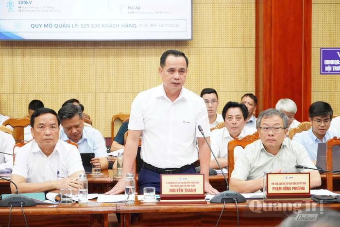 Đại diện lãnh đạo Tổng Công ty Điện lực Miền Trung phát biểu tại buổi làm việc - Ảnh: N.L