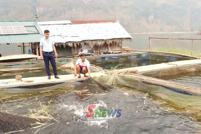 Nhân dân xã Tường Hạ phát triển nuôi cá lồng.