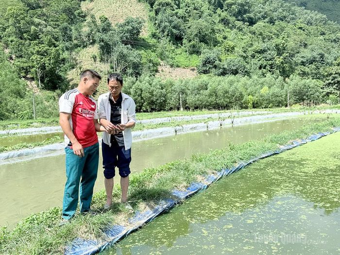 Cán bộ Trung tâm Dịch vụ công xã Hùng Lợi hướng dẫn kỹ thuật chăn nuôi ốc nhồi cho hộ gia đình anh Sùng Văn Tây, thôn Tấu Lìn.
