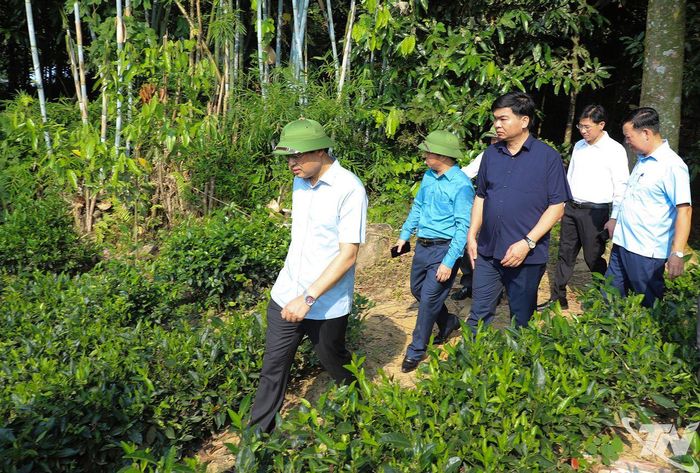 Đoàn công tác khảo sát tại xã Phú Đình.