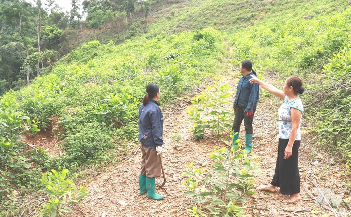 Bà Nguyễn Thị Bình (bên phải), thôn 3, xã Nà Phặc cho rằng, phần đất gia đình canh tác có nguồn gốc từ trước khi thành lập lâm trường, nay nằm trong diện tích do Công ty TNHH Một thành viên Lâm nghiệp Bắc Kạn quản lý.