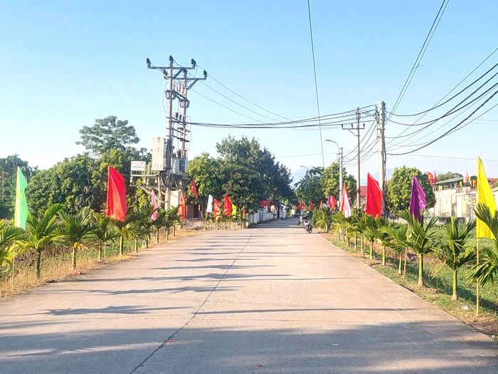  Những hàng cây xanh ven đường được người dân thôn Chấn Yên, xã Hội Thịnh tự nguyện đóng góp kinh phí, ngày công trồng và chăm sóc, góp phần xây dựng quê hương xanh, sạch, đẹp. 
