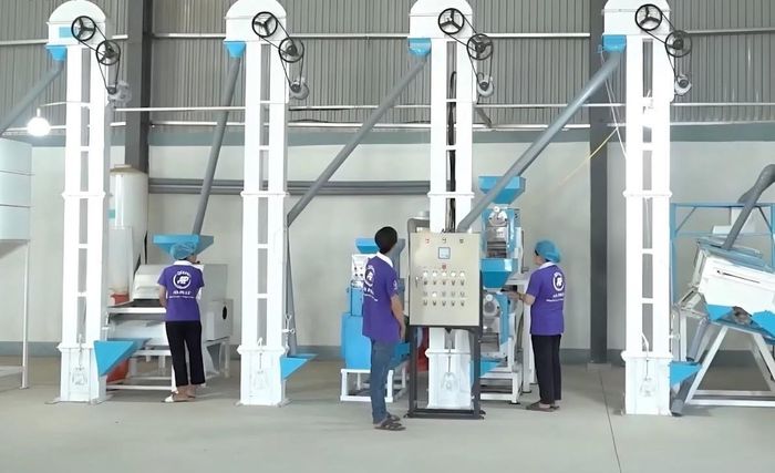 Hệ thống máy móc hiện đại đã giúp Công ty TNHH KH&CN An Phát (xã Việt Xuyên, tỉnh Hà Tĩnh) kiểm soát tốt hơn chất lượng sản phẩm, nâng cao hiệu quả chế biến và giảm chi phí sản xuất.