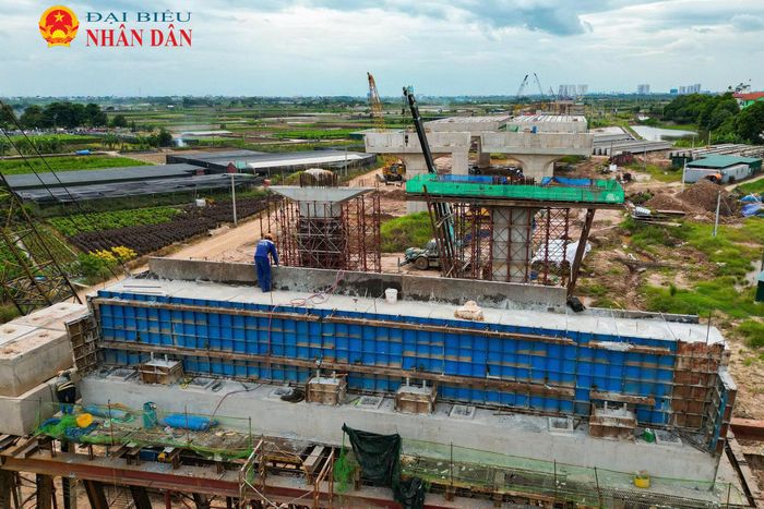 Bám sát tiến độ, hiện các kỹ sư và công nhân đang dồn lực thi công phần bệ trụ cùng hàng loạt hạng mục cầu dẫn quan trọng khác