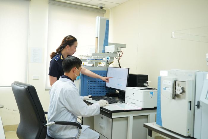 Chi cục Kiểm định hải quan 6