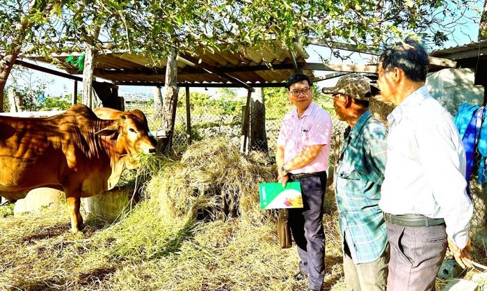 Từ những khoản vay ưu đãi được đưa về tận thôn, xã, nhiều hộ nghèo và đồng bào dân tộc thiểu số ở Khánh Hòa đã có thêm điều kiện phát triển sản xuất, ổn định sinh kế.
