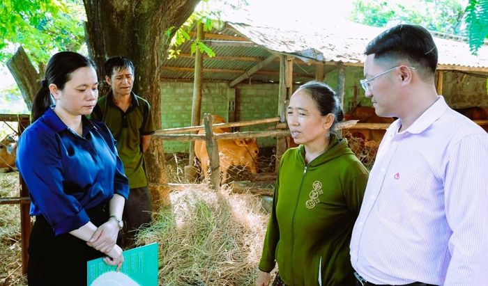 Phòng chuyên môn và Các tổ chức chính trị - xã hội tham gia khảo sát nhu cầu vay vốn, tổ chức bình xét công khai, giải ngân kịp thời và đồng hành với người vay trong quá trình sử dụng vốn.