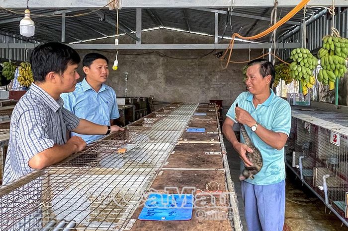 Từ sát dân đến sát việc, cán bộ cơ sở kịp thời đồng hành, hỗ trợ người dân phát triển những mô hình hiệu quả, biến chủ trương thành cơ hội sinh kế. (Trong ảnh: Cán bộ Hội Nông dân xã Phong Hiệp thăm mô hình nuôi chồn hương của người dân trên địa bàn).